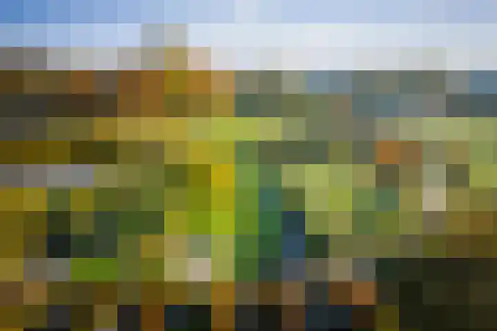 Bandijk 59 Terwolde thumbnail 31
