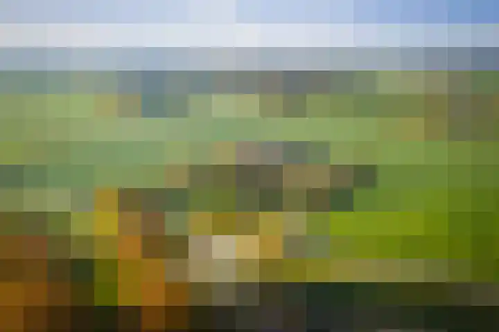 Bandijk 59 Terwolde thumbnail 33