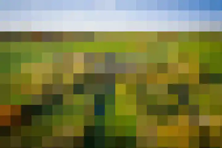 Bandijk 59 Terwolde thumbnail 34
