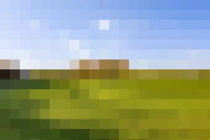 Bandijk 59 Terwolde thumbnail 35