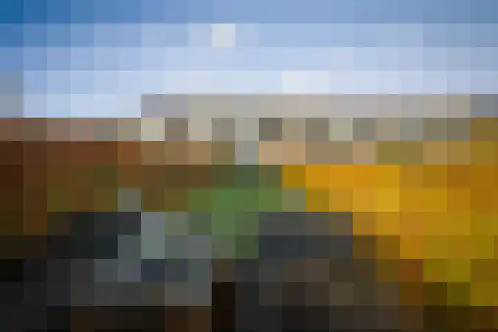 Bandijk 59 Terwolde thumbnail 4
