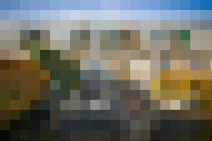 Bandijk 59 Terwolde thumbnail 5