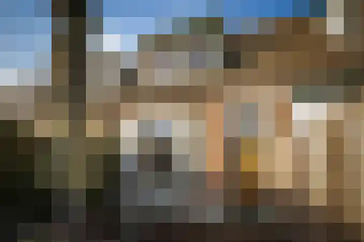 Bandijk 59 Terwolde thumbnail 6