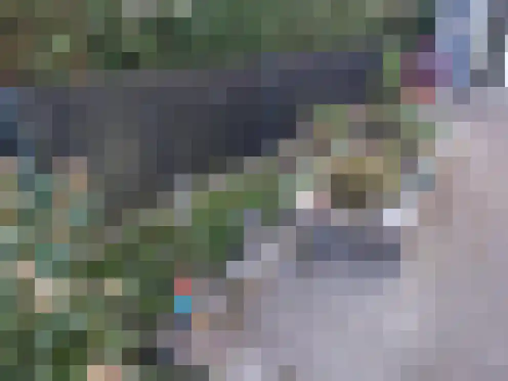 Bandijk 60 F 11 Terwolde thumbnail 10