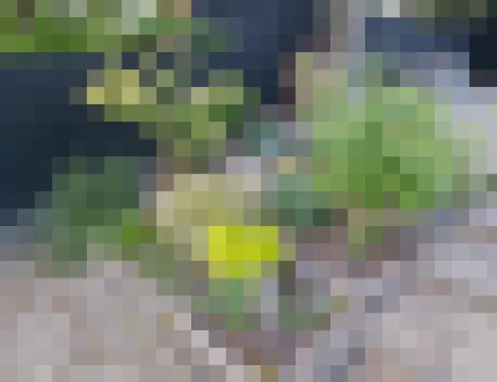 Bandijk 60 F 11 Terwolde thumbnail 11