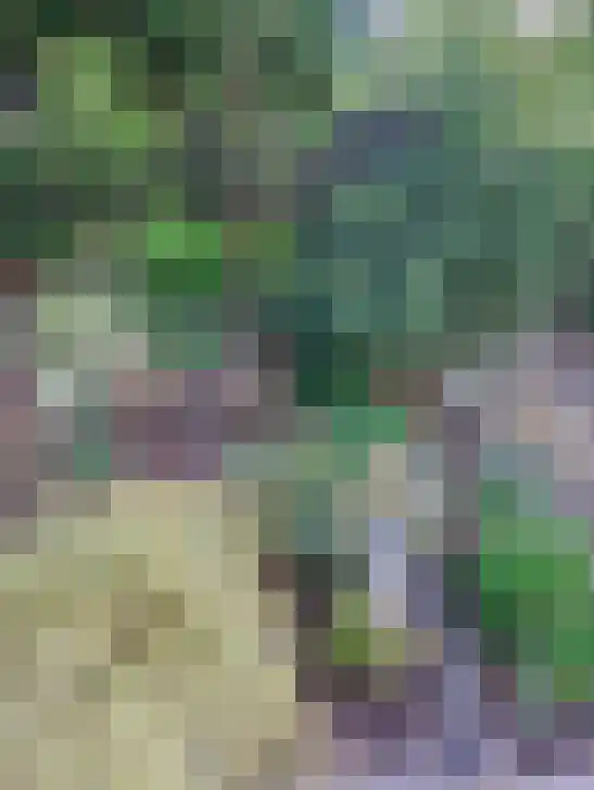 Bandijk 60 F 11 Terwolde thumbnail 12