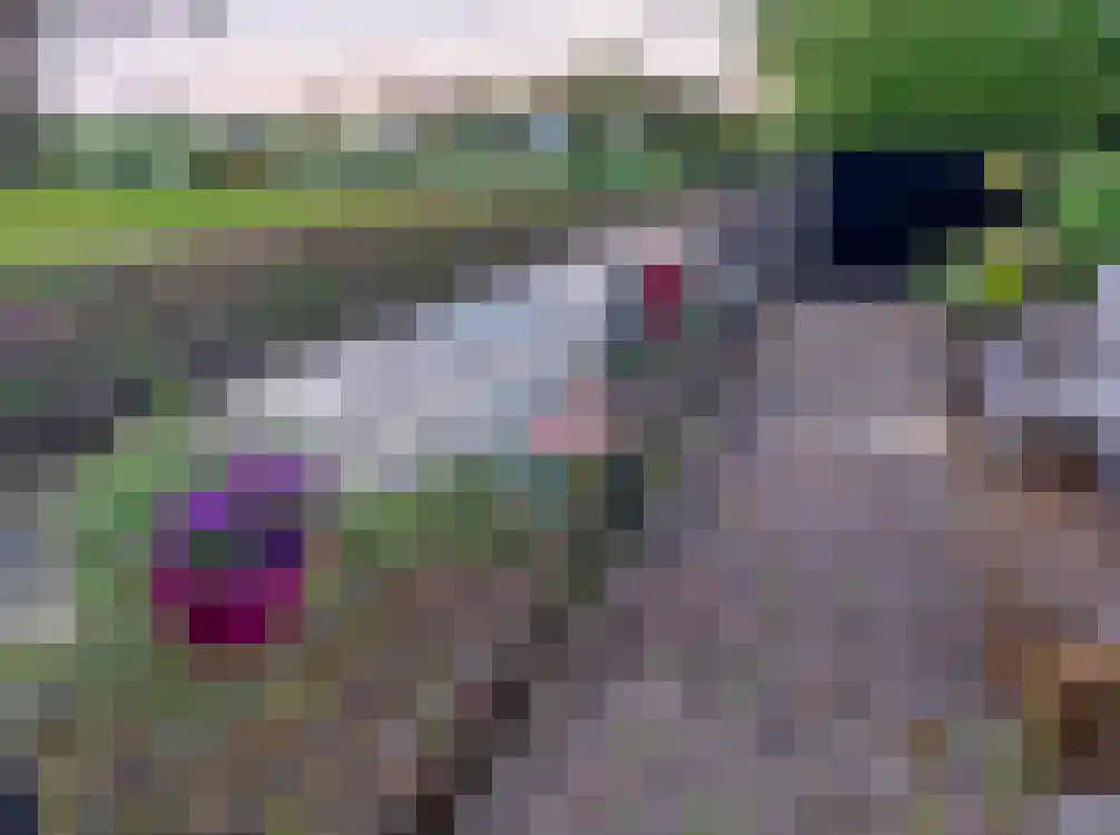 Bandijk 60 F 11 Terwolde thumbnail 13