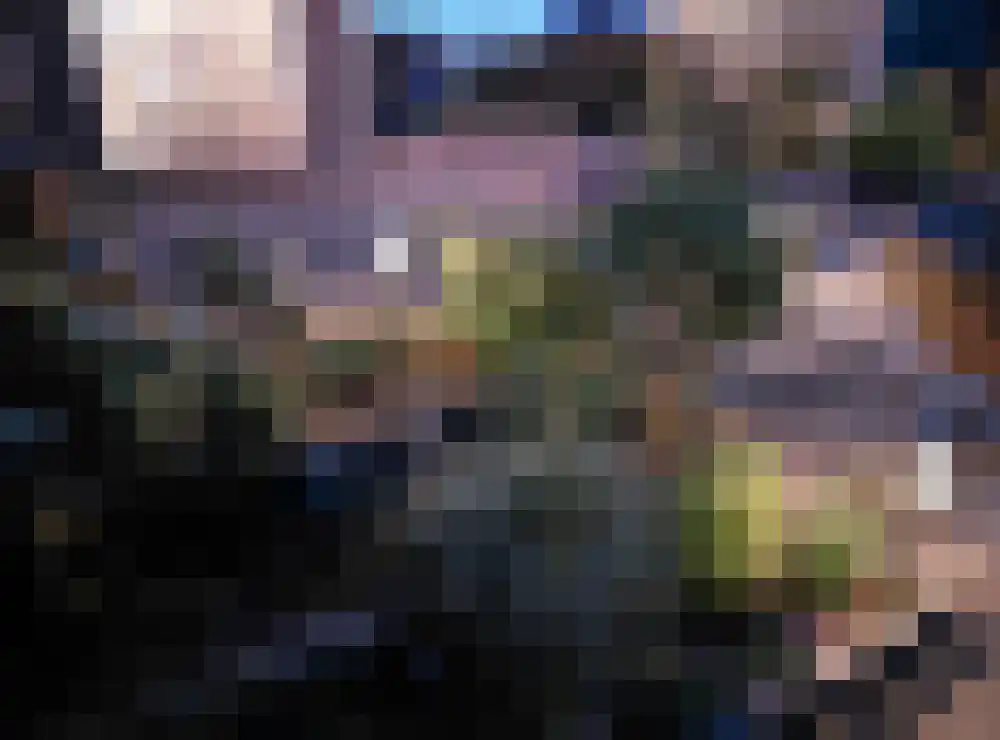 Bandijk 60 F 11 Terwolde thumbnail 16