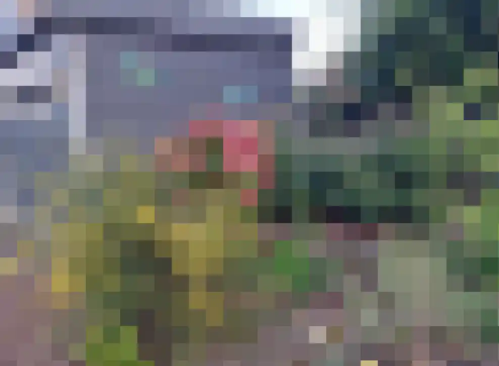 Bandijk 60 F 11 Terwolde thumbnail 7