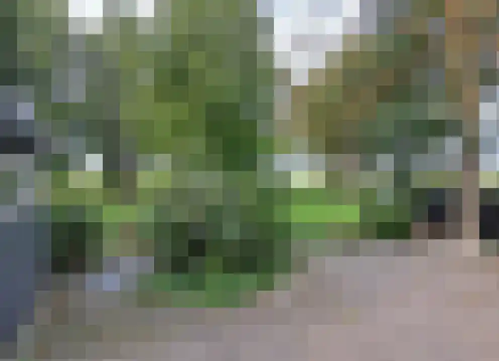 Bandijk 60 F 11 Terwolde thumbnail 9
