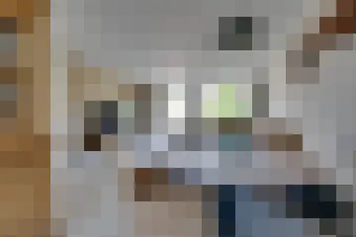 Bandijk 70 Purmerend thumbnail 18