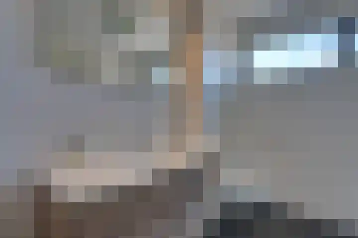 Bandijk 70 Purmerend thumbnail 29