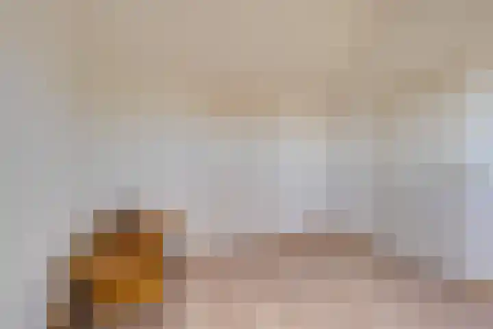 Bandijk 70 Purmerend thumbnail 34
