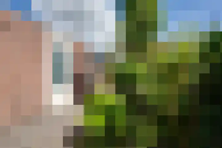 Bandijk 70 Purmerend thumbnail 35