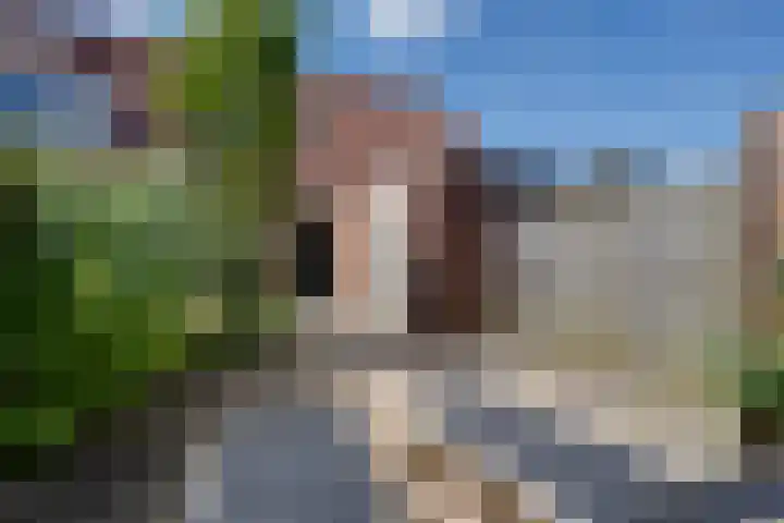 Bandijk 70 Purmerend thumbnail 36