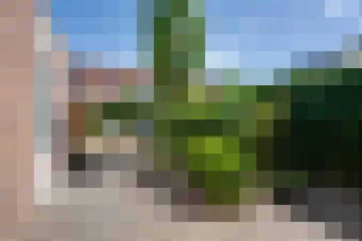 Bandijk 70 Purmerend thumbnail 37
