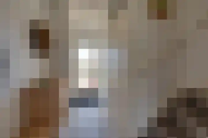 Bandijk 70 Purmerend thumbnail 5