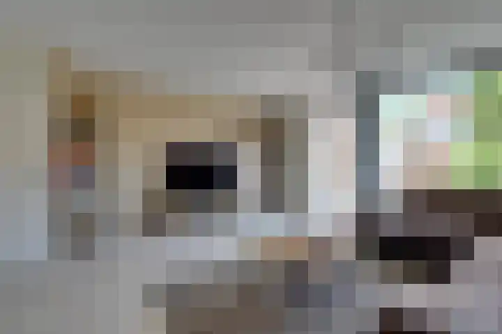 Bandijk 70 Purmerend thumbnail 8