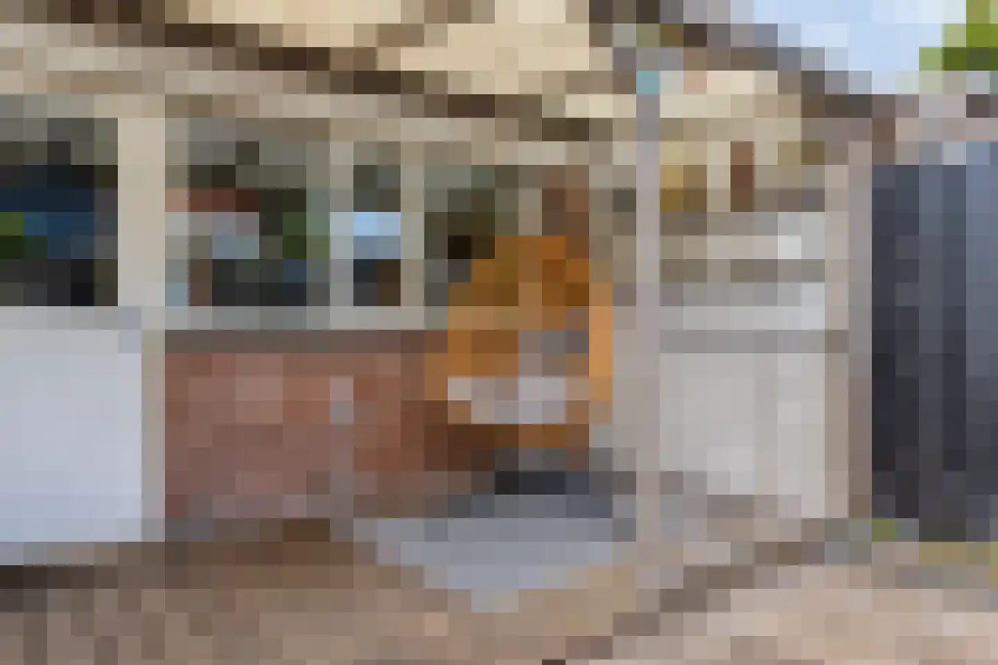 Bandijk 86 Purmerend thumbnail 30