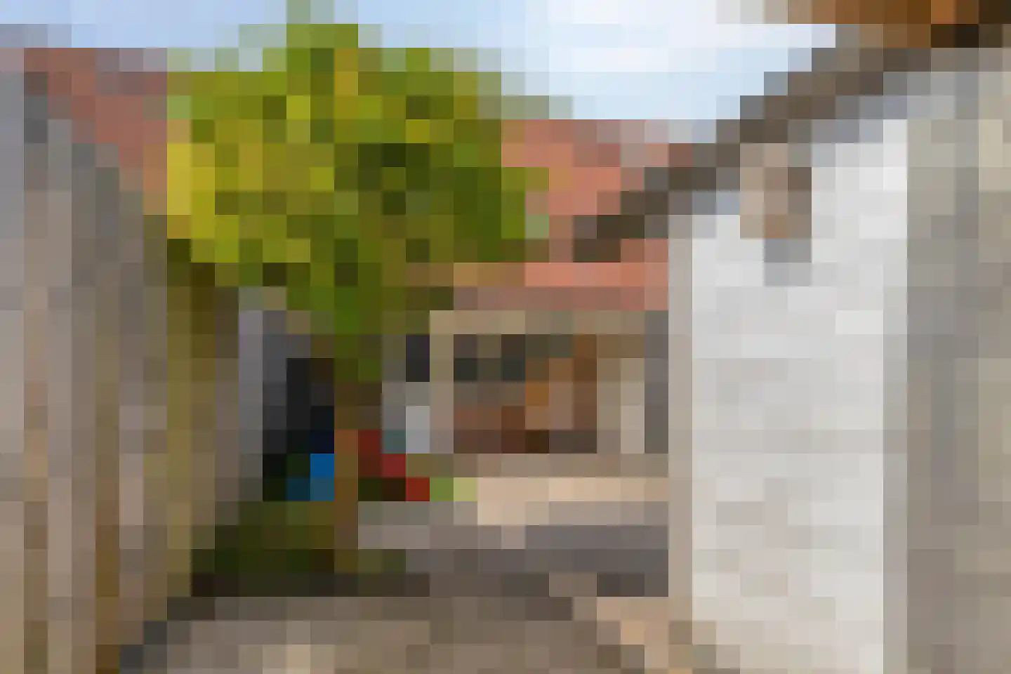 Bandijk 86 Purmerend thumbnail 32