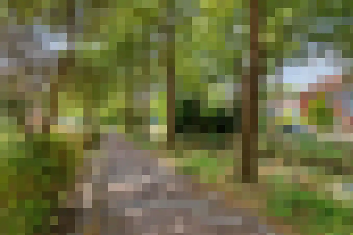 Bandijk 86 Purmerend thumbnail 33