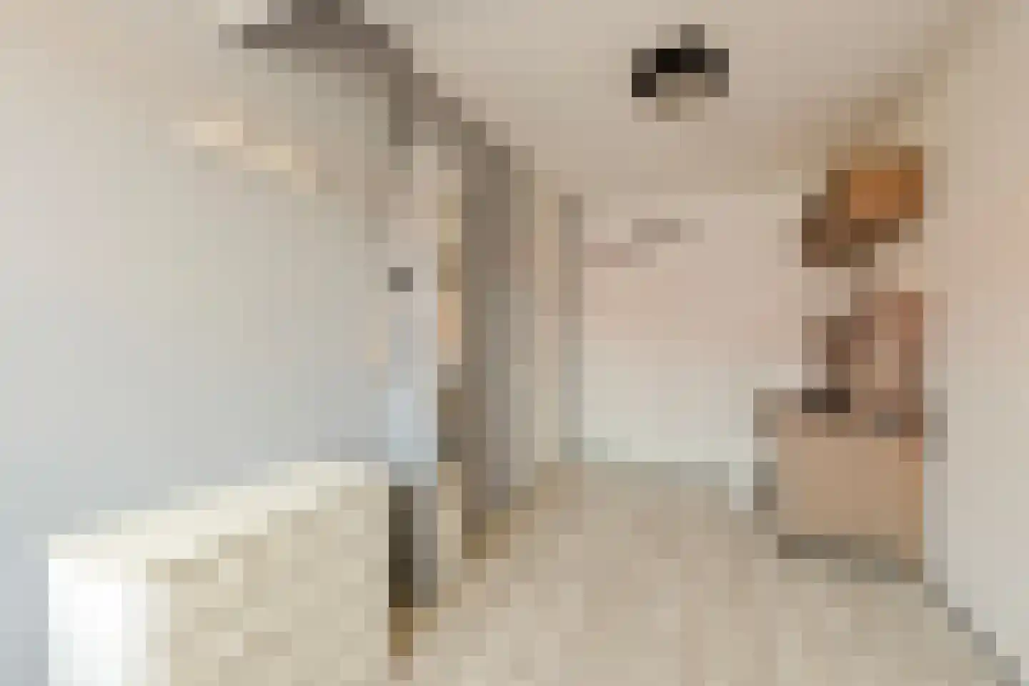 Bandijk 93 Purmerend thumbnail 34