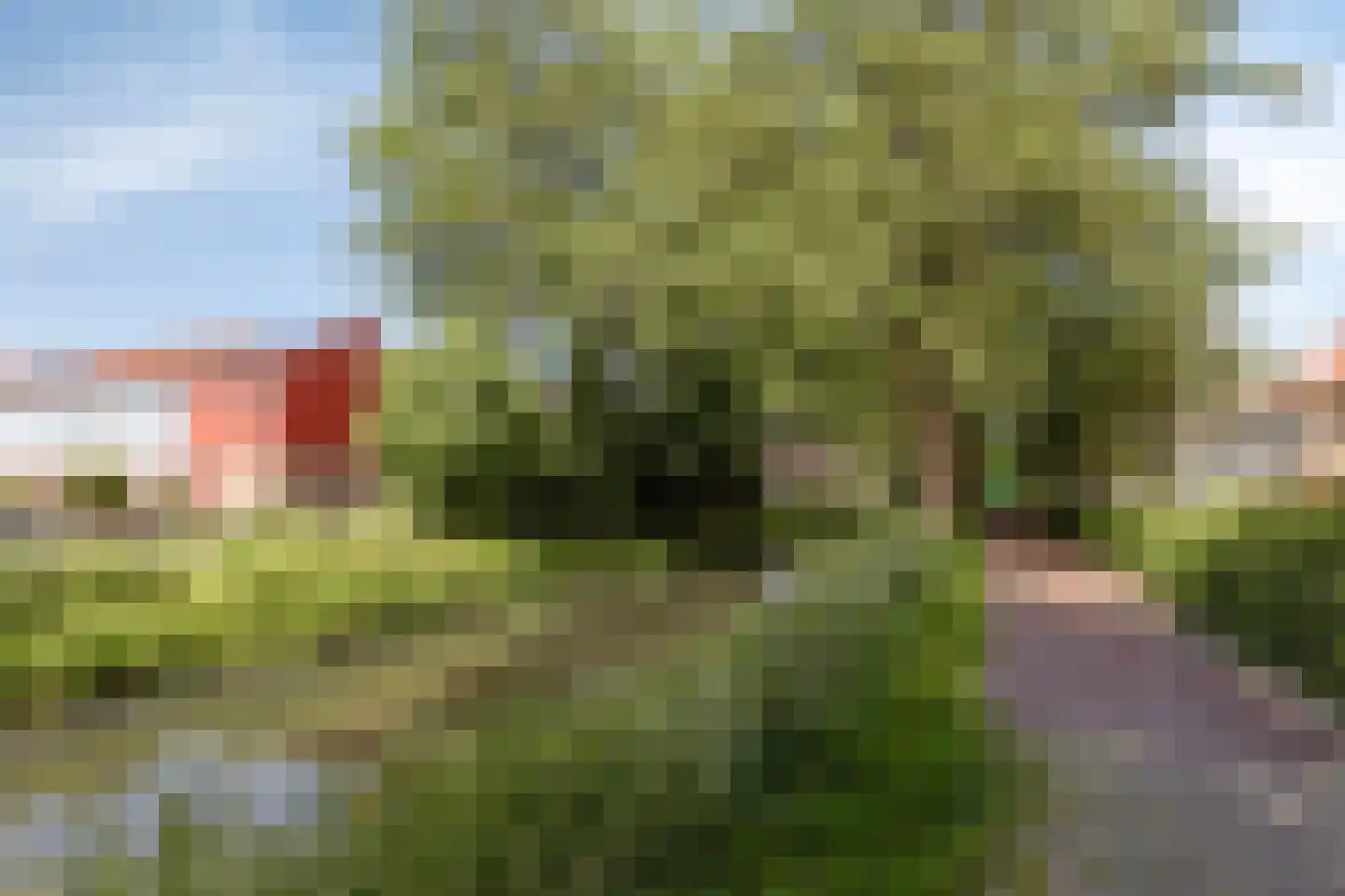 Bandijk 93 Purmerend thumbnail 44