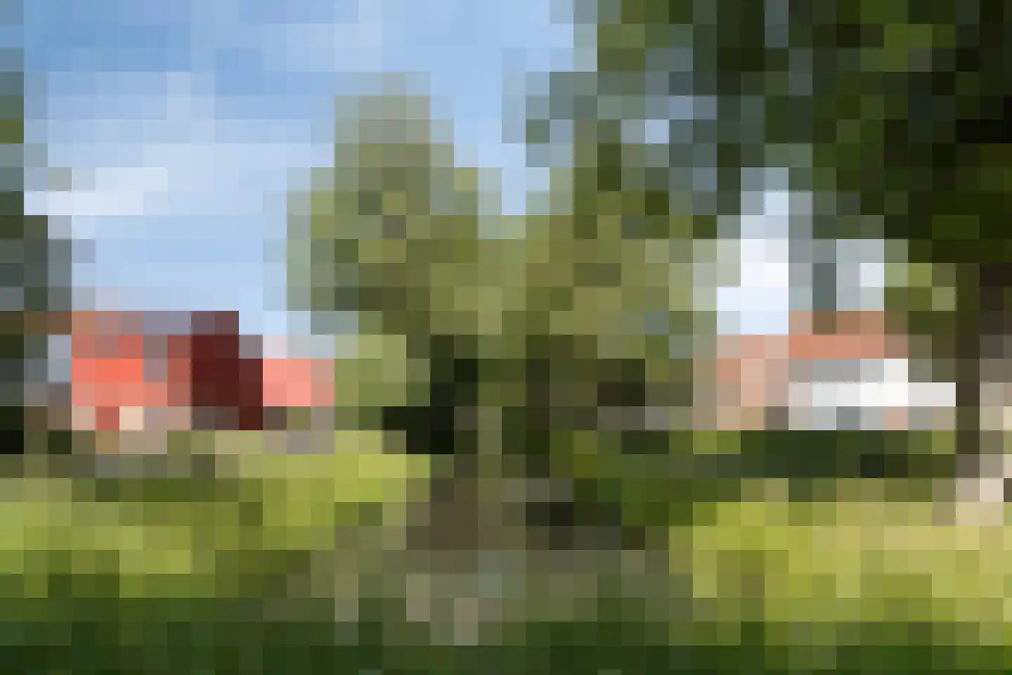 Bandijk 93 Purmerend thumbnail 46