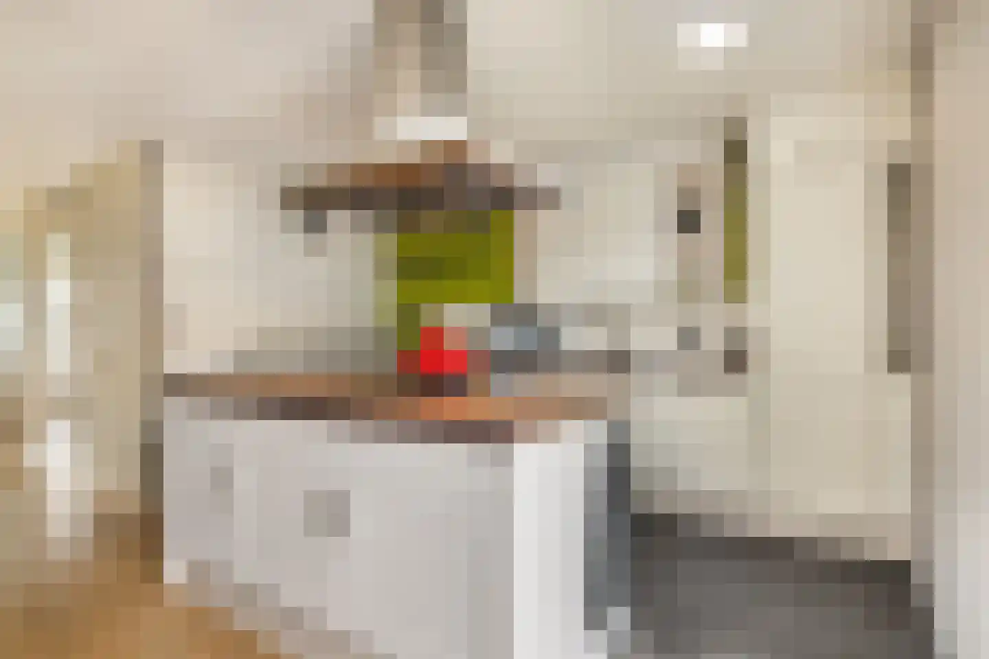 Bandijk 97 Purmerend thumbnail 12