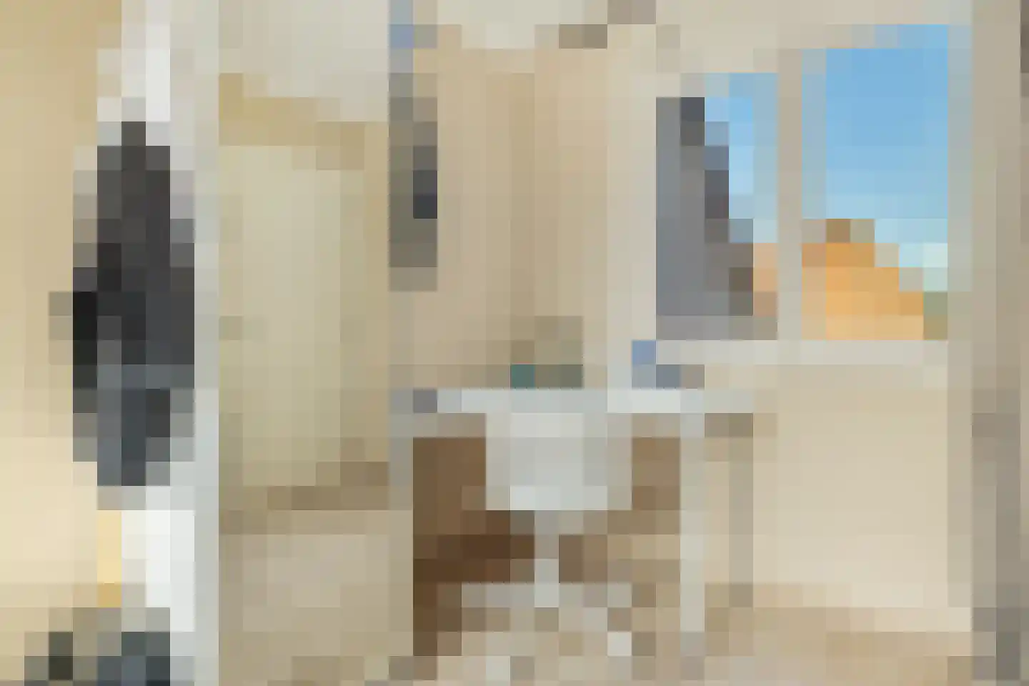 Bandijk 97 Purmerend thumbnail 28