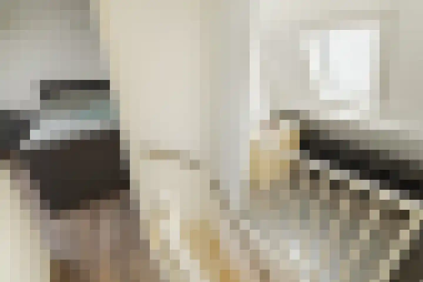 Bandijk 97 Purmerend thumbnail 37