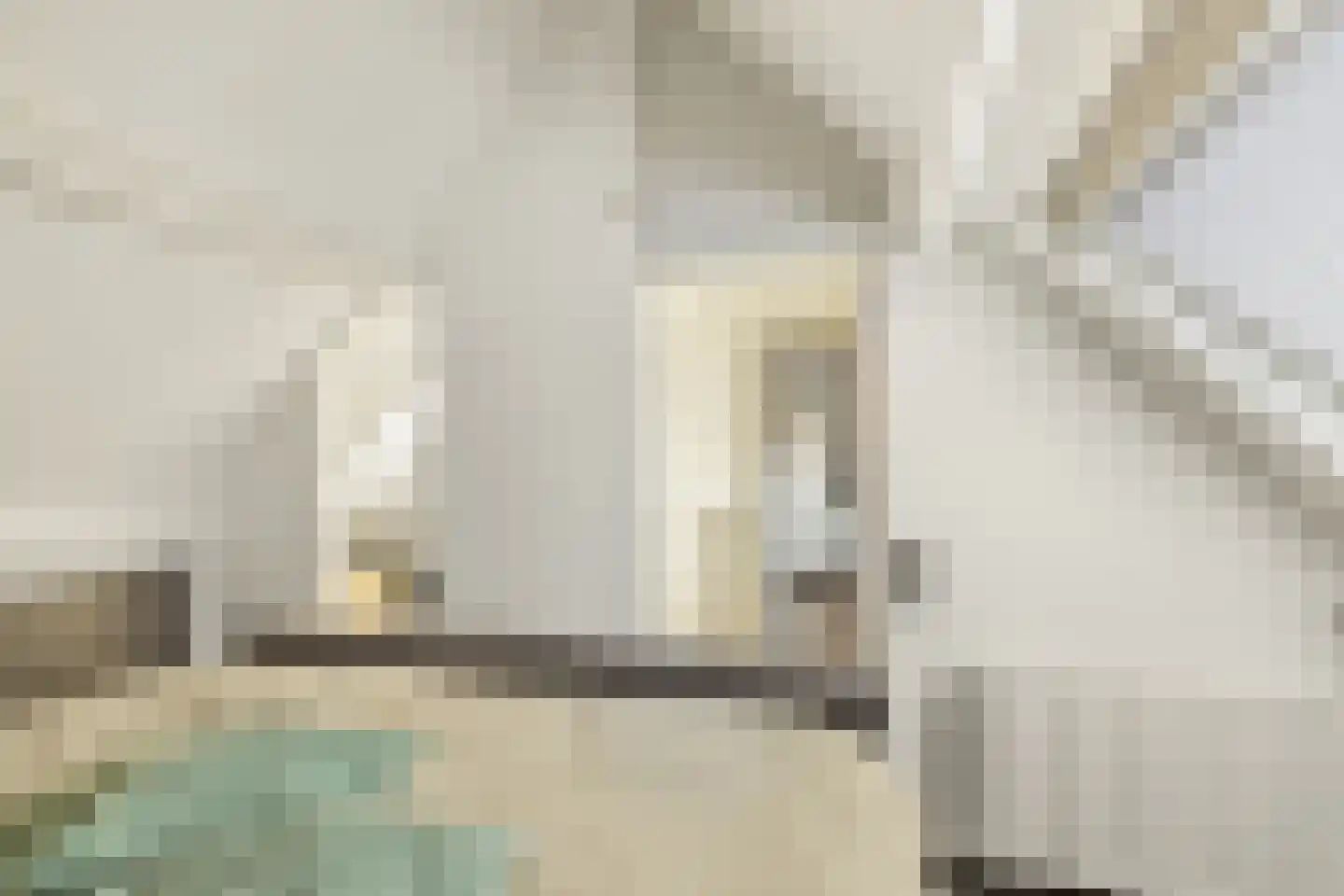 Bandijk 97 Purmerend thumbnail 39