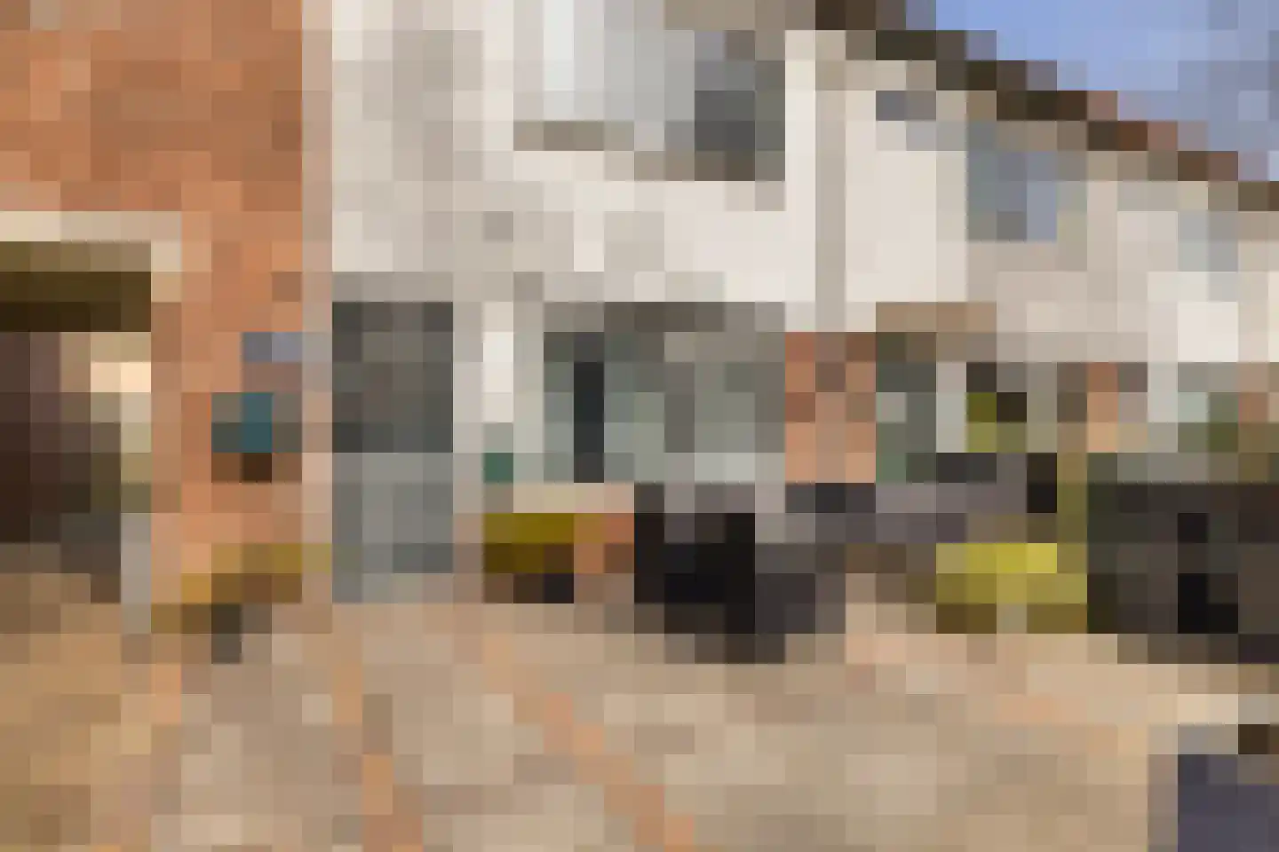Bandijk 97 Purmerend thumbnail 47