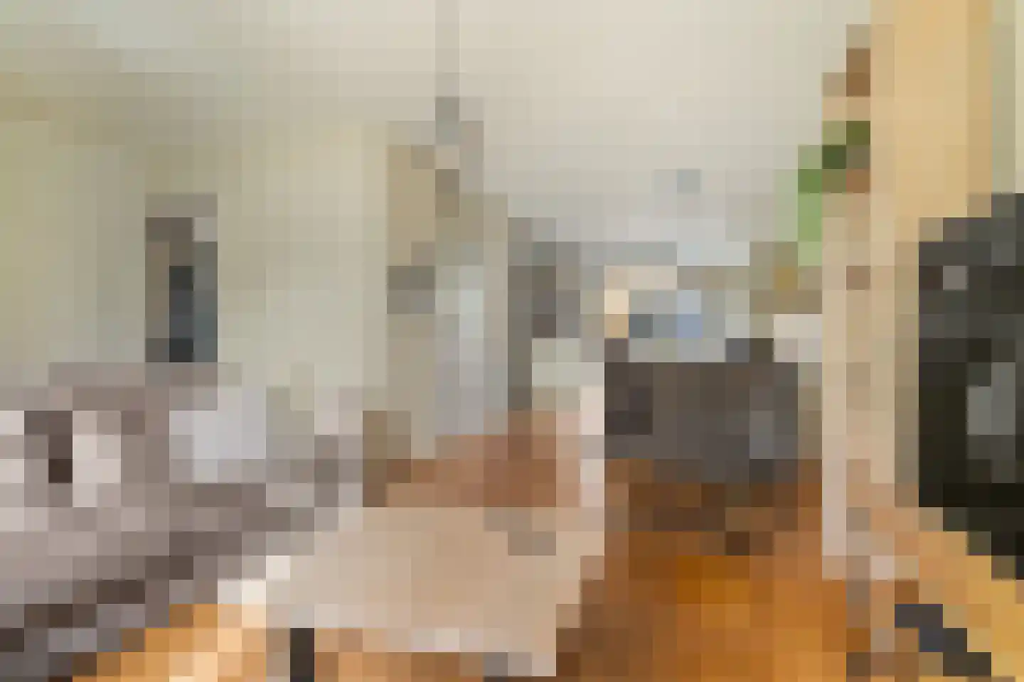 Bandijk 97 Purmerend thumbnail 6