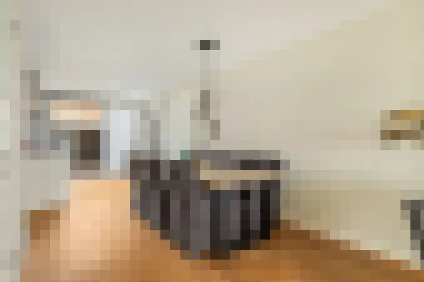 Bandijk 97 Purmerend thumbnail 8