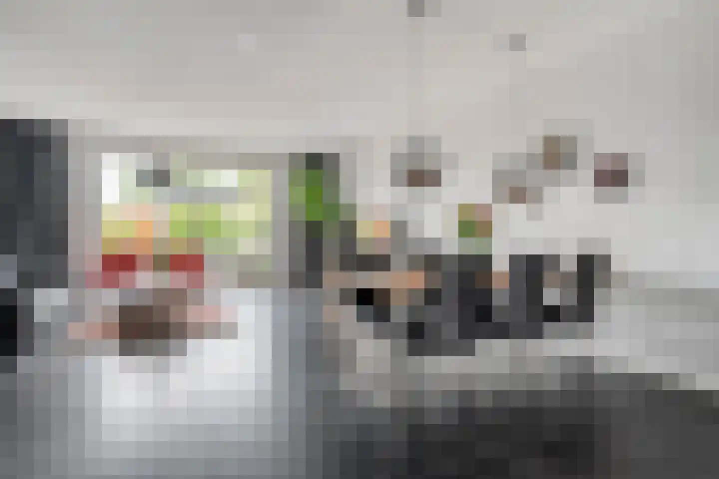 Bandijklaan 51 Zwolle thumbnail 10