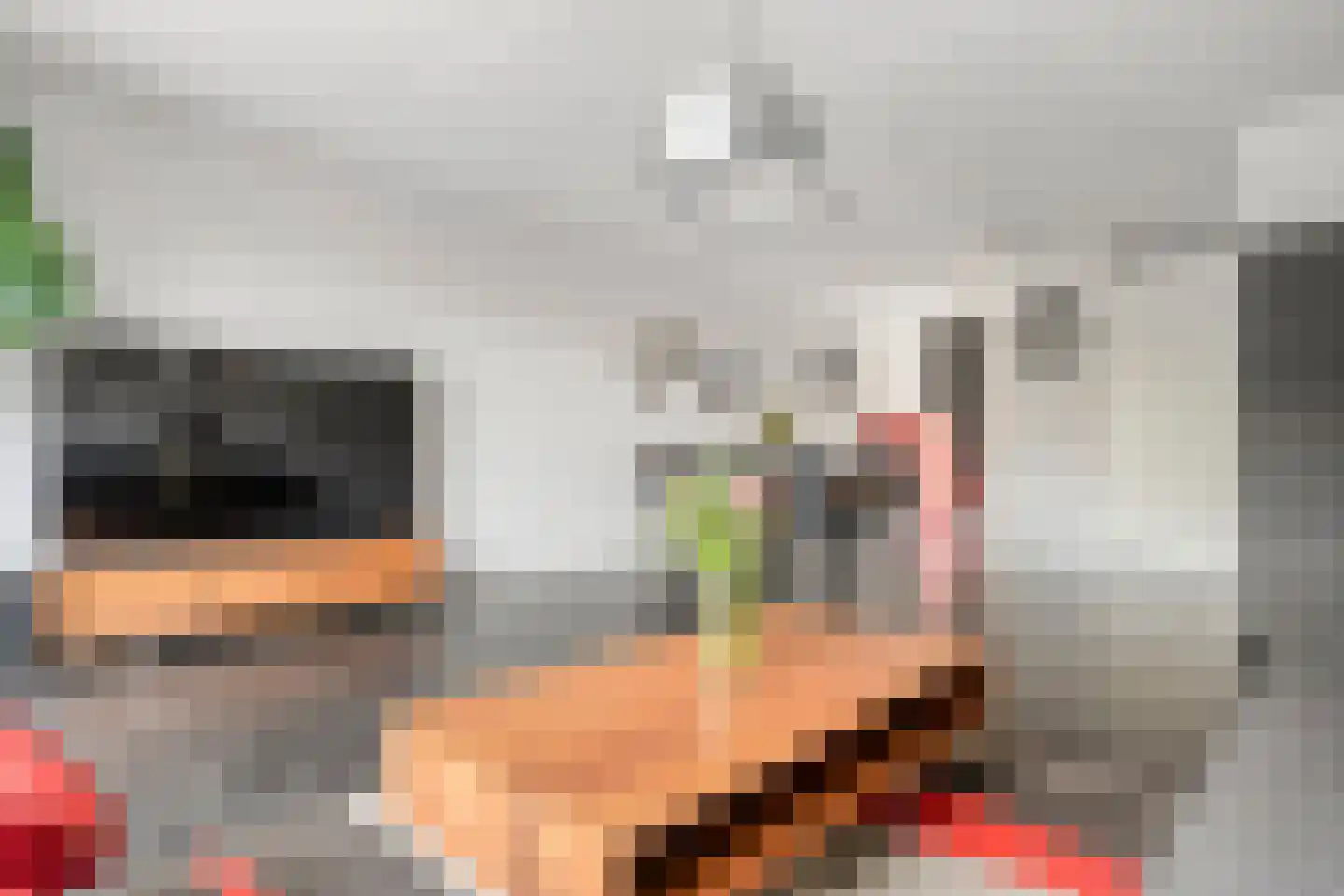 Bandijklaan 51 Zwolle thumbnail 13