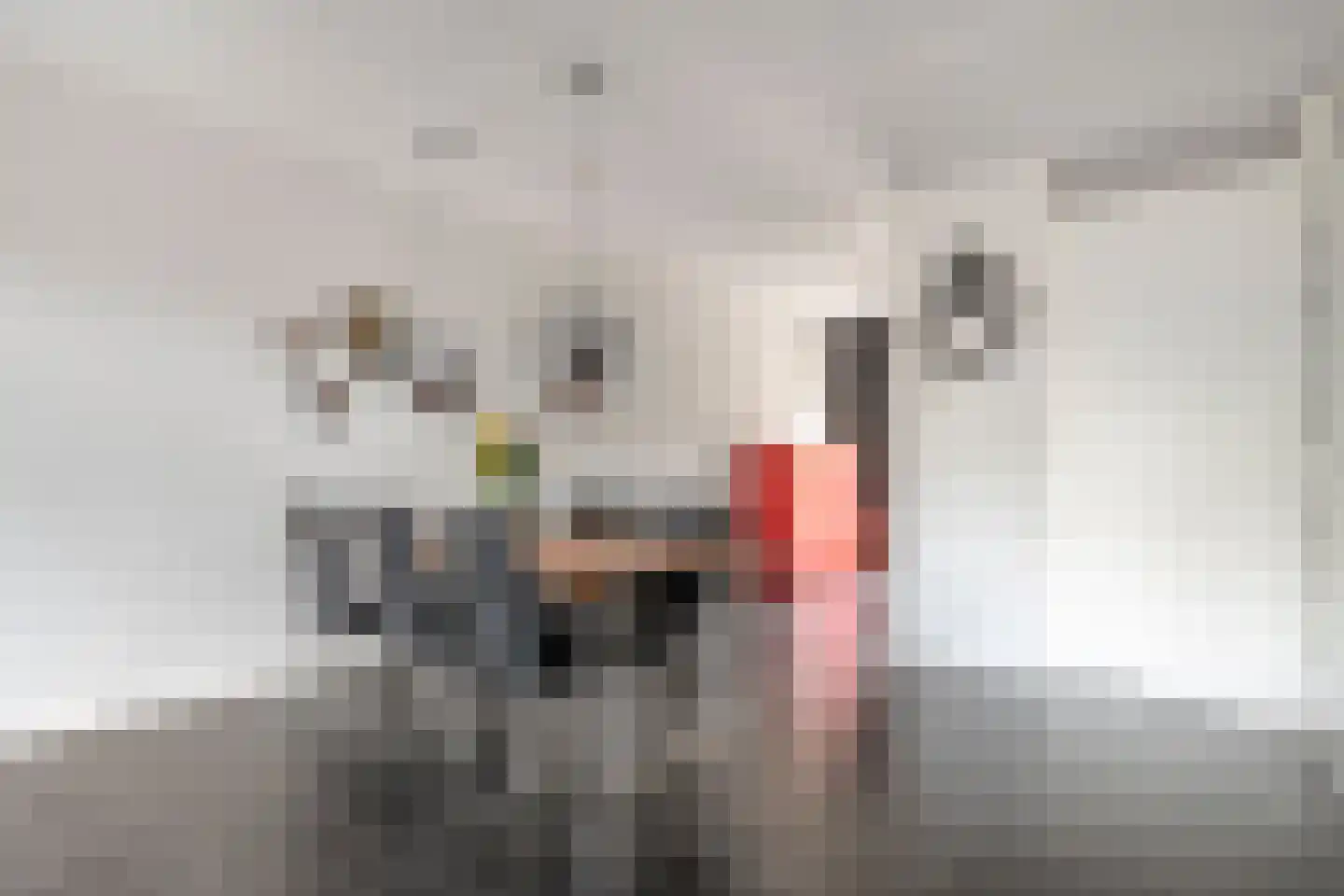 Bandijklaan 51 Zwolle thumbnail 15