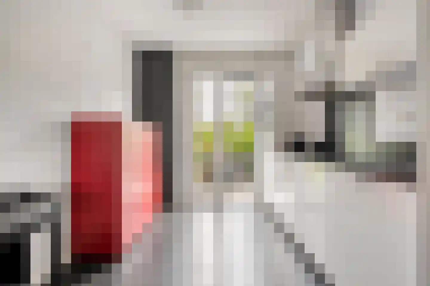Bandijklaan 51 Zwolle thumbnail 16