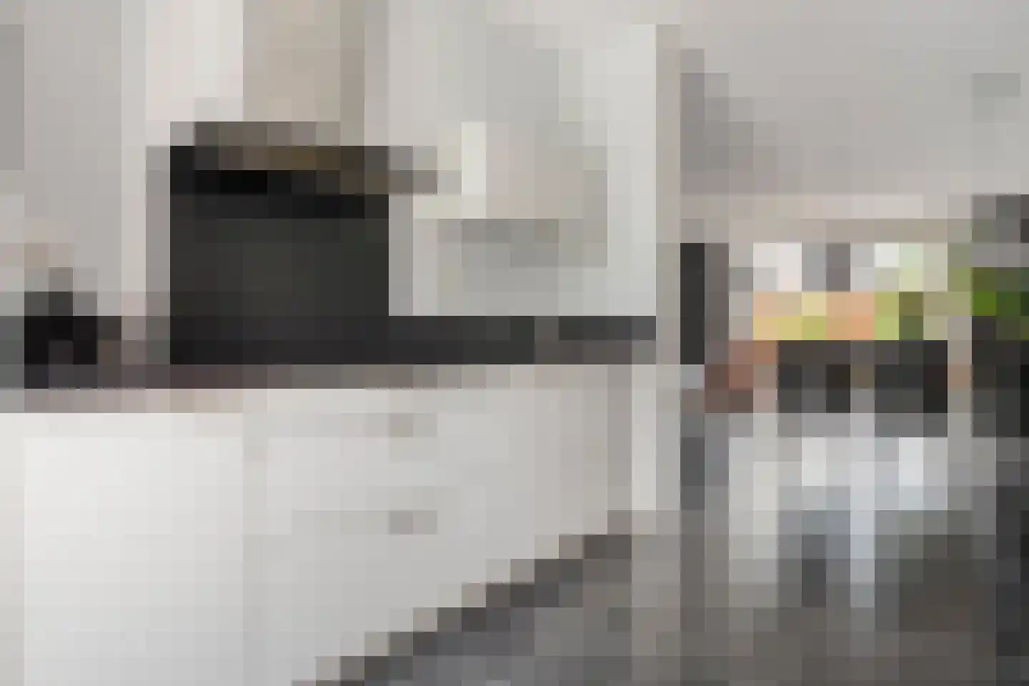 Bandijklaan 51 Zwolle thumbnail 18