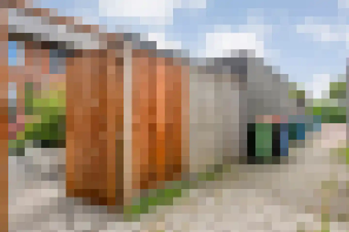 Bandijklaan 51 Zwolle thumbnail 35