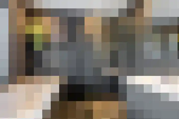 Bandoengstraat 12 Haarlem thumbnail 33