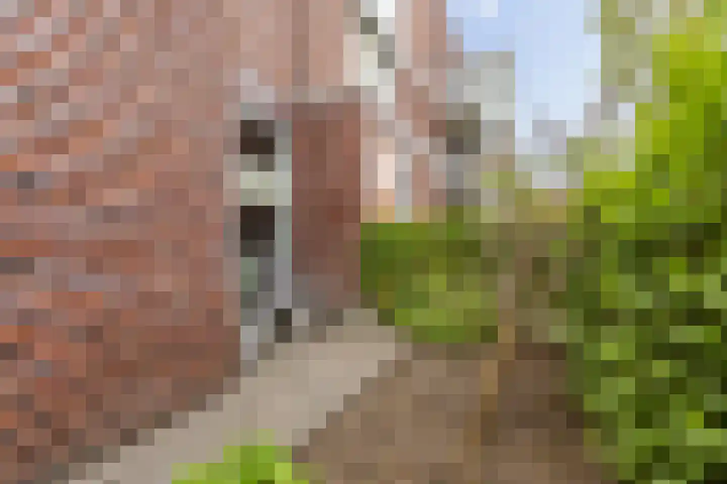 Bandoengstraat 15 Groningen thumbnail 11