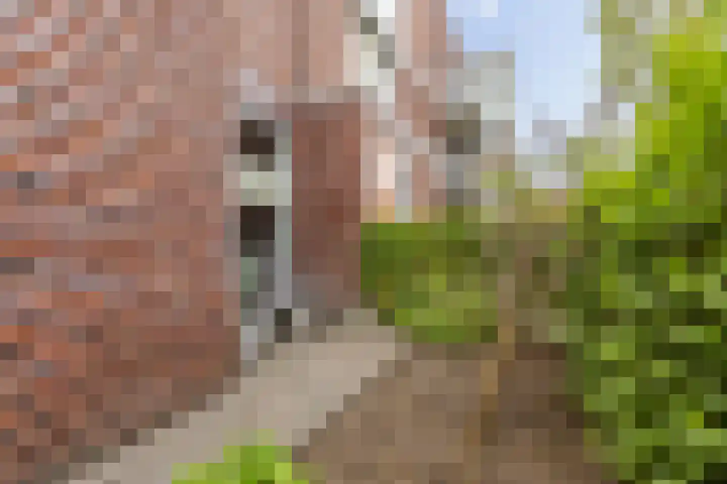 Bandoengstraat 15 Groningen thumbnail 11