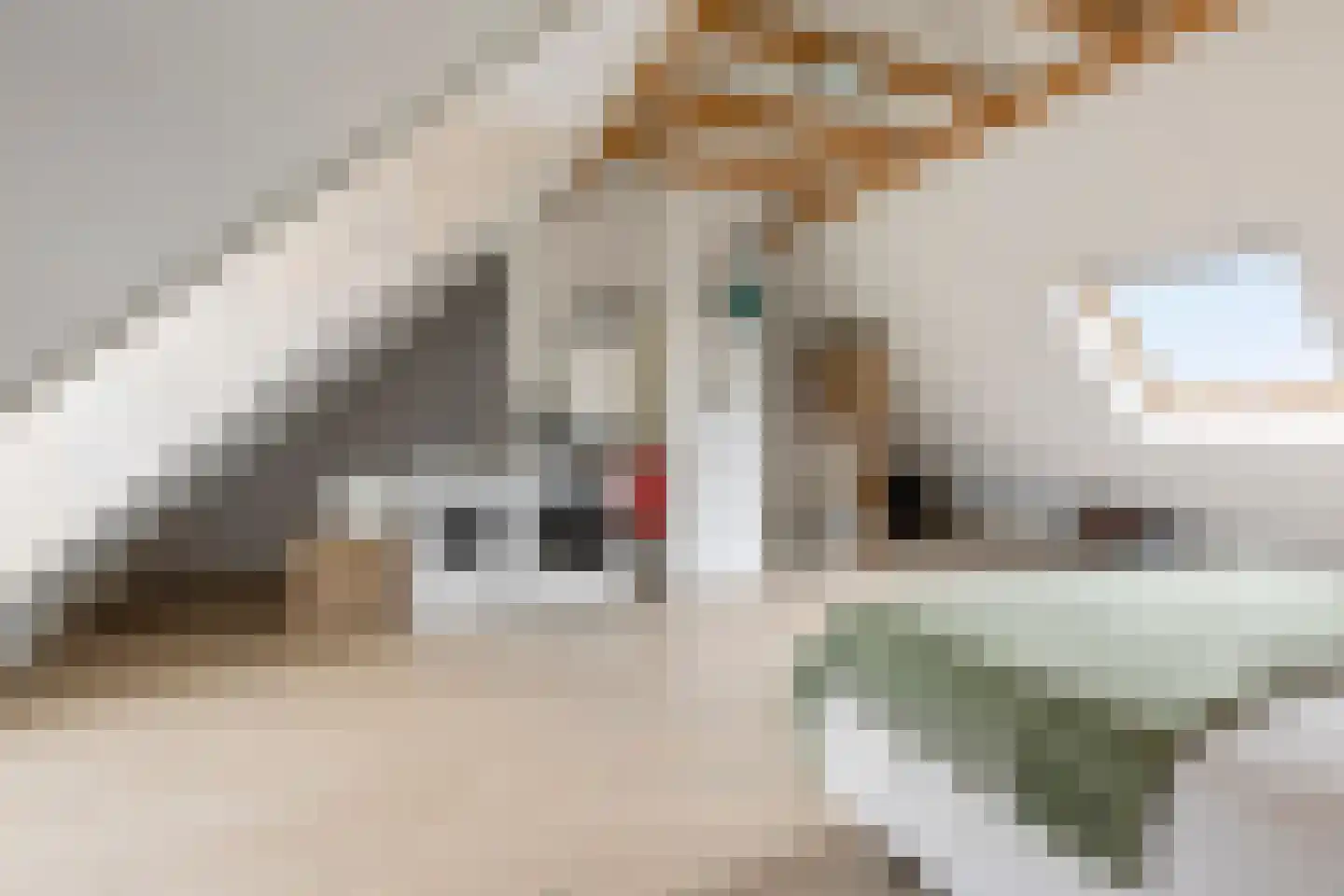 Bandoengstraat 15 Groningen thumbnail 36