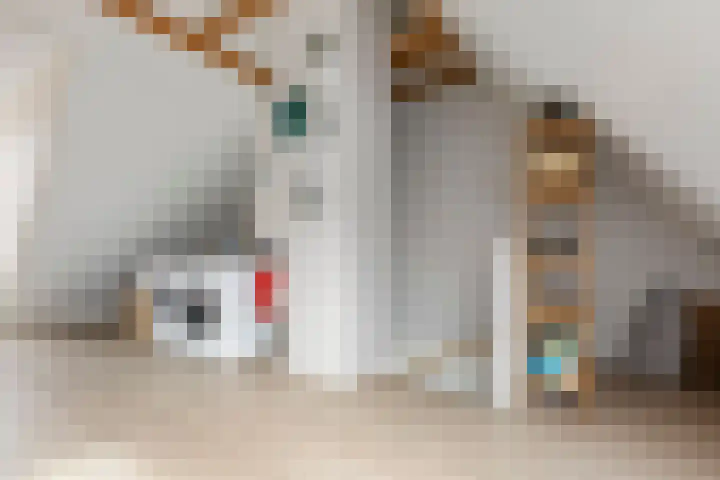 Bandoengstraat 15 Groningen thumbnail 37