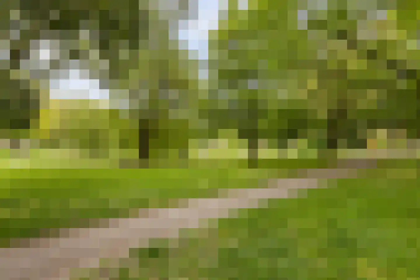 Bandoengstraat 15 Groningen thumbnail 46