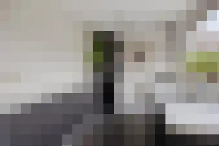 Bandoengstraat 22 Hengelo thumbnail 16