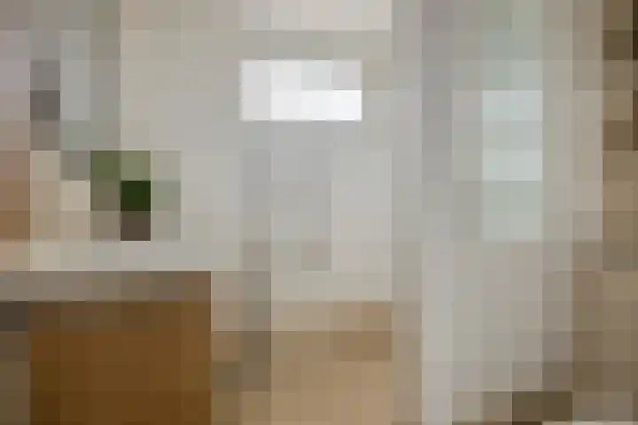 Bandoengstraat 22 Hengelo thumbnail 23