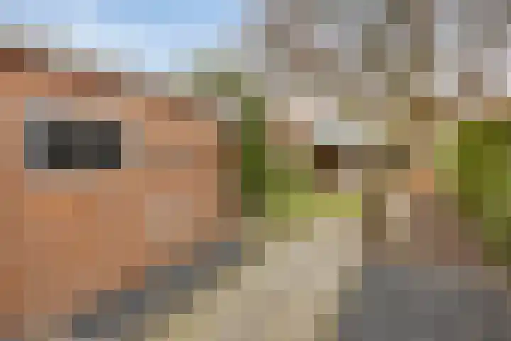 Bandoengstraat 22 Hengelo thumbnail 31